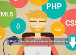 Ngôn ngữ lập trình website phổ biến nhất hiện nay